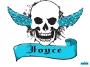 joyce aqua skull