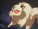 kirara