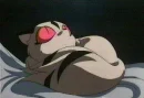 kirara