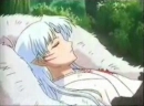 sleepy sesshy