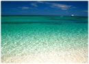 sea