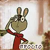 rabbit  in glasses