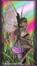 Fairy