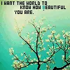 no worries by mcfly