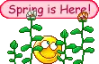 spring