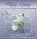 spring