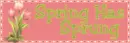 spring has sprung