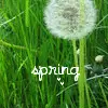 spring