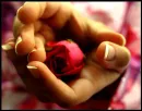 In the palm of your hands 