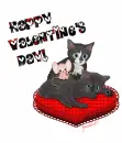Happy Valentine's Day! â™¥  Cute Kittens 