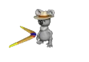 boomerang koala bear