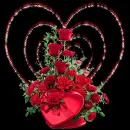 Hearts 