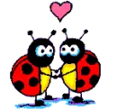 love bugs