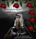In memory of my Friend