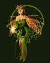 Green Fairy
