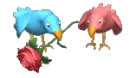 love birds