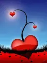 Red  hearts  