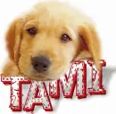 My Name 