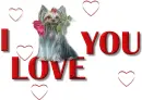 I love You 