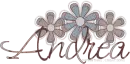 ANDREA -FLOWERS