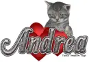 Valentine kitten Andrea