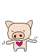 Pig Heart