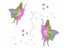 butterfly and stars 