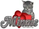 Valentine kitten Minnie