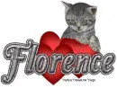 Valentine kitten Florence