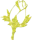 yellow rose bud