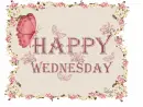 Happy wednesday