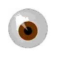The Everseeing Eye