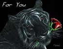 For You - Tiger&Rose