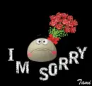 I'm sorry 