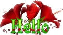 Hello