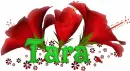 Tara