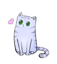 cat with the heart
