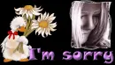I'M SORRY 