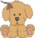 puppy