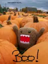 boo