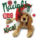 â¤NaUGhTyâ¤BuTâ¤NiCeâ¤