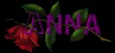 Red rose - Anna