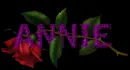 Red rose -- Annie