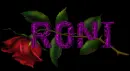 Red rose - Roni 