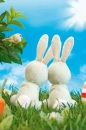 Kawaii Bunnies