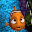 nemo