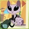 Mr Kat