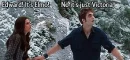 bella & edward