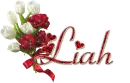 red love roses liah
