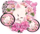 Chrissi